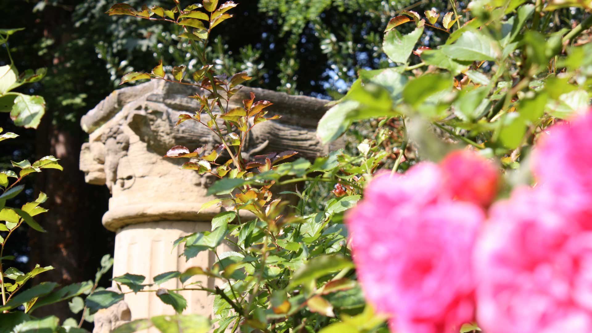 Garten Schloss Amalienhof