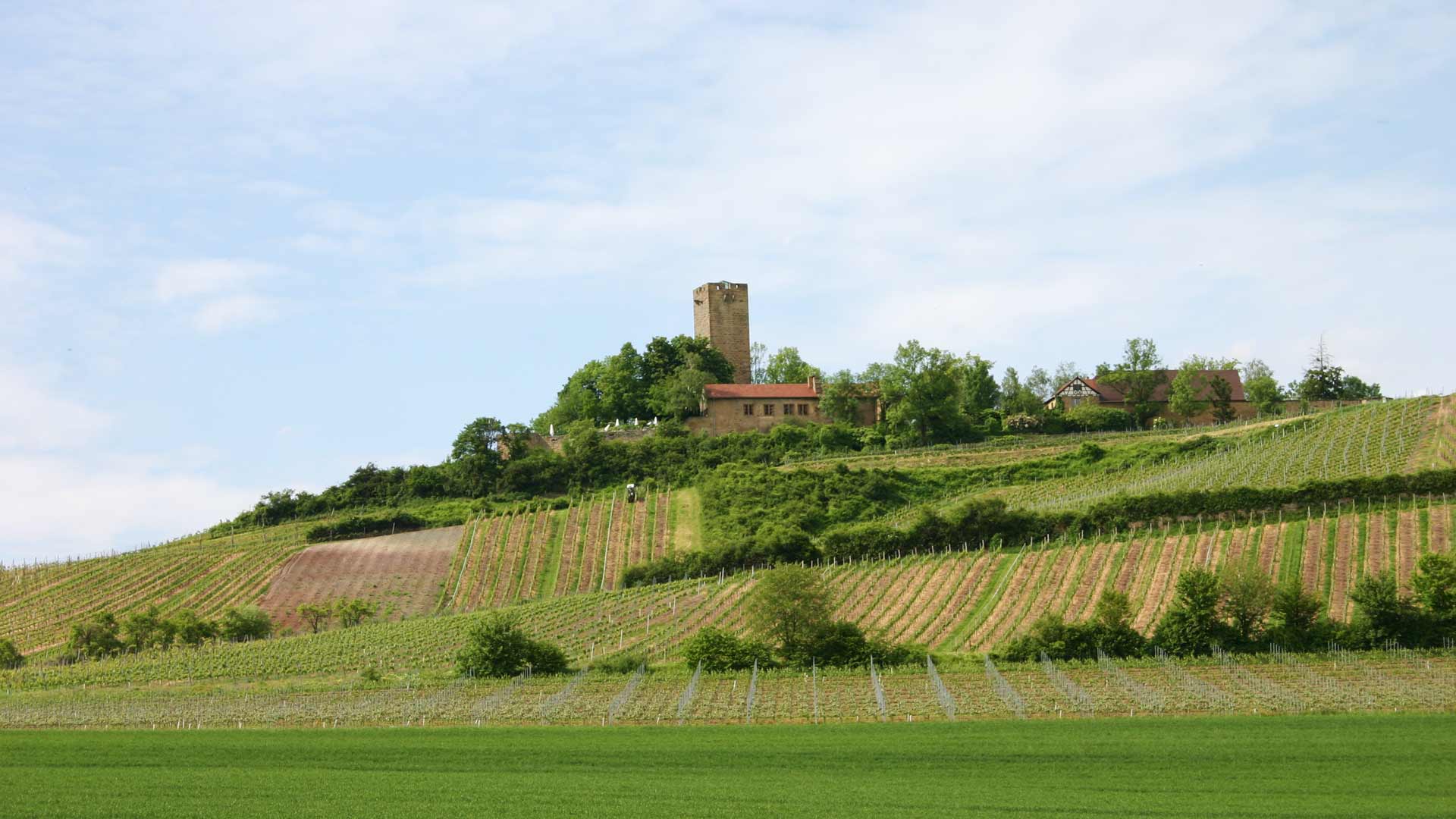 Ravensburg Sulzfeld